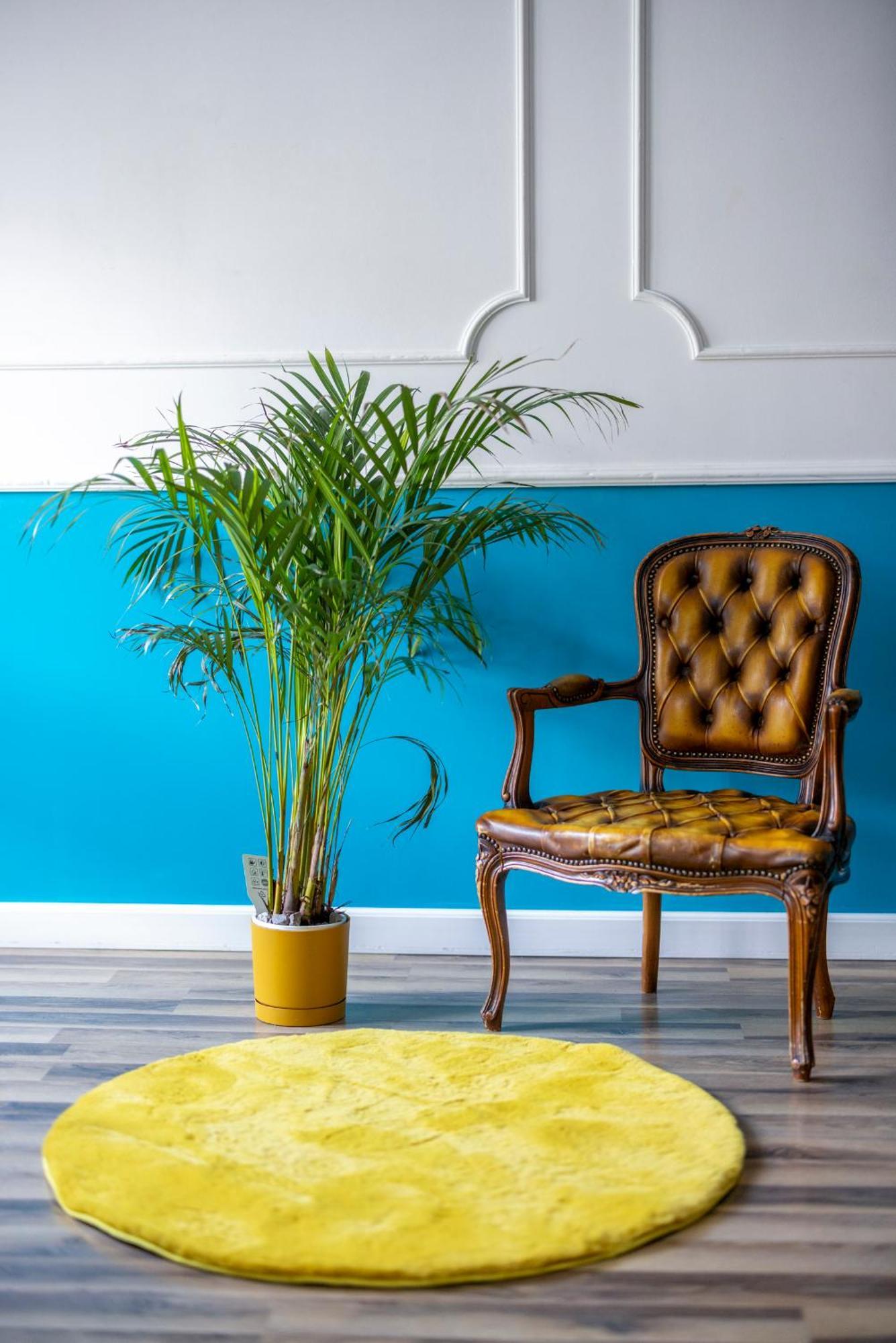 Royal Apartment Лодз Екстериор снимка